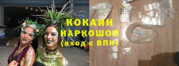 дмт Богородск