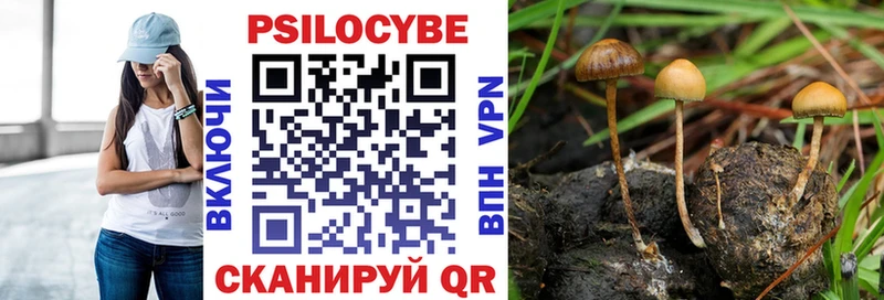 цены наркотик  Бутурлиновка  Псилоцибиновые грибы GOLDEN TEACHER 